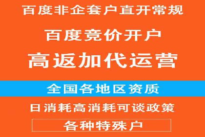 百度推广与SEO结合案例：提升网站排名的技巧